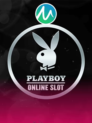 Banner game warframe slots 188